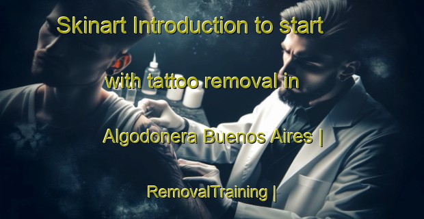Skinart Introduction to start with tattoo removal in Algodonera Buenos Aires | RemovalTraining | RemovalClasses | SkinartTraining-Colombia
